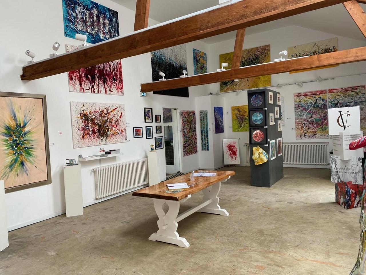 Bnb Maison D'Art Breakfast In The Art Gallery 플루바즐라넥 외부 사진